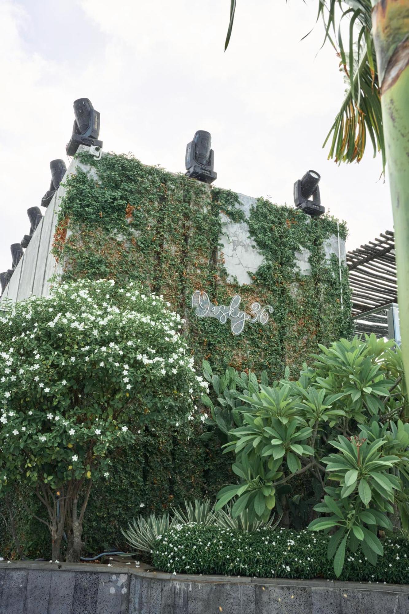 Pooh House 2 - Oasky 3 Bedrooms Apartment Vung Tau Exterior photo